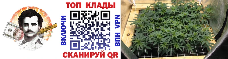 Купить закладку Усть-Катав МАРИХУАНА Альфа ПВП Кодеин ГАШИШ Галлюциногенные грибы