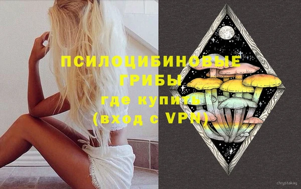 прущий лед Абаза