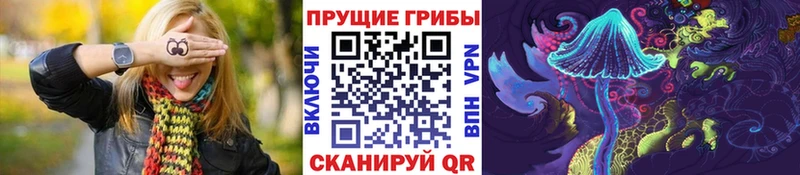 Галлюциногенные грибы Psilocybe  где купить наркоту  Усть-Катав 